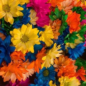 Meet your Posher, Art